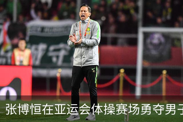 张博恒在亚运会体操赛场勇夺男子全能金牌