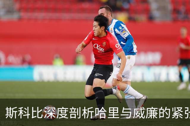 斯科比深度剖析哈里与威廉的紧张关系：和解仍遥遥无期